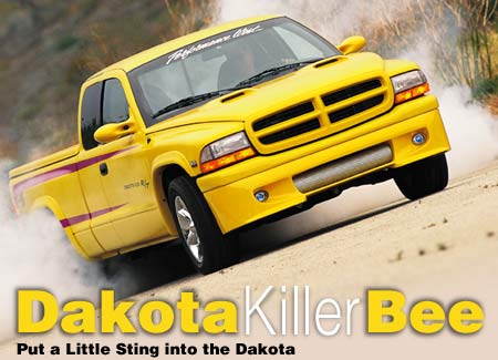 Dakota Killer Bee